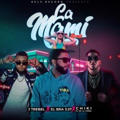 La Mami (feat. Chiki El De La Vaina & El Bra 3.57) [Remix] artwork