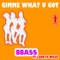 Gimme What U Got (feat. Laneya Wiles) - BBass lyrics