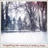 Walking Home - Single