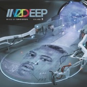 In2deep, Vol. 5 artwork