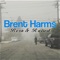 God Blessed Whiskey - Brent Harms lyrics