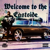 Welcome to the Eastside artwork