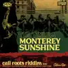 Monterey Sunshine - Single album lyrics, reviews, download