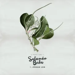 Playa y Sol (feat. Jósean Log) - Single by Salomon Beda album reviews, ratings, credits