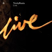 TrintiyRoots Live (Live) artwork
