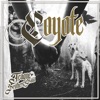 Coyote - Single