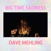 Dave Mehling - Big Time Sadness