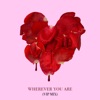 wherever you are (adam&steve VIP Remix) [feat. Maty Noyes] - Single