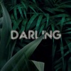 Darling - Single