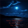 S.Shah - Neelay Amber