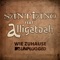 Wie Zuhause (feat. Alligatoah) - Santiano lyrics