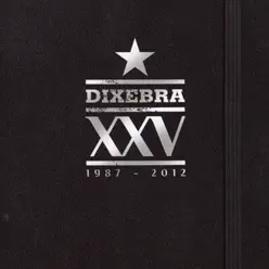 Dixebra XXV 1987 - 2012 - Dixebra