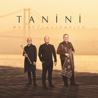 Tanini