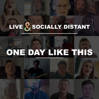 Live & Socially Distant - One Day Like This artwork