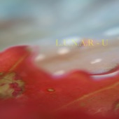 L.U.N.a.R - U artwork