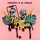 No Me Digas (feat. El Chulo) artwork