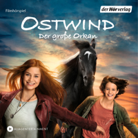 Lea Schmidbauer - Ostwind 5 Der große Orkan artwork
