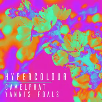 Hypercolour by CamelPhat, Yannis & Foals song reviws