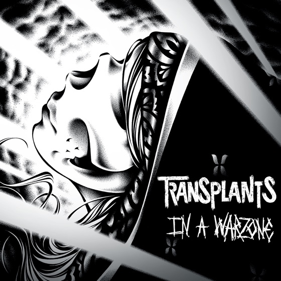 Cover artwork for In a Warzone