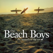 Feel Flows - Remastered by The Beach Boys