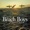 Beach Boys - The Warmth Of The Sun
