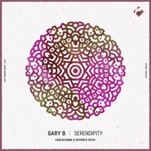 Serendipity (Loocalooma & Seven24 Remix) artwork