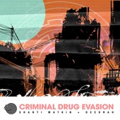 Criminal Drug Evasion artwork