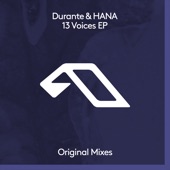 13 Voices (Extended Mix) artwork