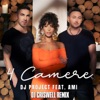 4 Camere (feat. Ami) [DJ Criswell Remix] - Single