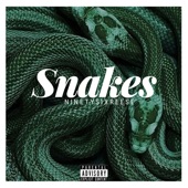 Snakes artwork