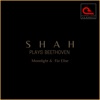 Shah Plays Beethoven:  Moonlight &  Für Elise - Single