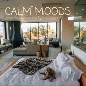 Calm Moods ~ 毎日を前向きに過ごすためのJazzy House Selection ~ artwork