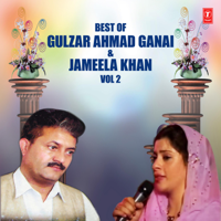 Jameela Khan & Gulzar Ahmad Ganai - Best of Gulzar Ahmad Ganai & Jameela Khan, Vol. 2 artwork
