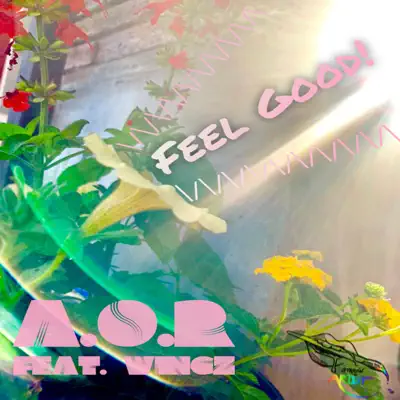 Feel Good (feat. Wingz) - Single - A.O.R