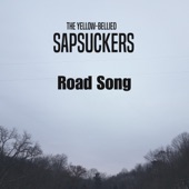 The Yellow-Bellied Sapsuckers - Road Song (Live)