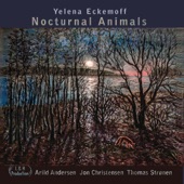 Nocturnal Animals (feat. Arild Andersen, Jon Christensen & Thomas Stronen) artwork