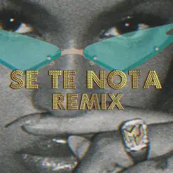 Se Te Nota (Remix) Song Lyrics