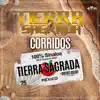 Corridos 100% Sinaloa album lyrics, reviews, download