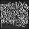 Bruno Mars (feat. LGoony) - Harry Quintana lyrics