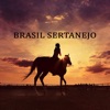 Brasil Sertanejo
