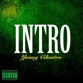 INTRO by Young Cilantro