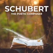 Schubert: The Poetic Composer artwork