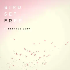Bird Set Free Song Lyrics