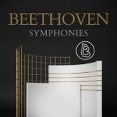 Beethoven: Symphonies artwork