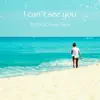 I can't see you (feat. Alice) - Single album lyrics, reviews, download