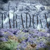 Paradoxx - Single