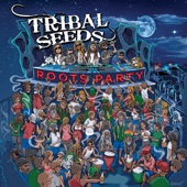 Tribal Seeds - Aroma