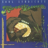 Soul Syndicate - Red Gold and Green