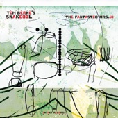 Tim Berne's Snakeoil - Surface Noise