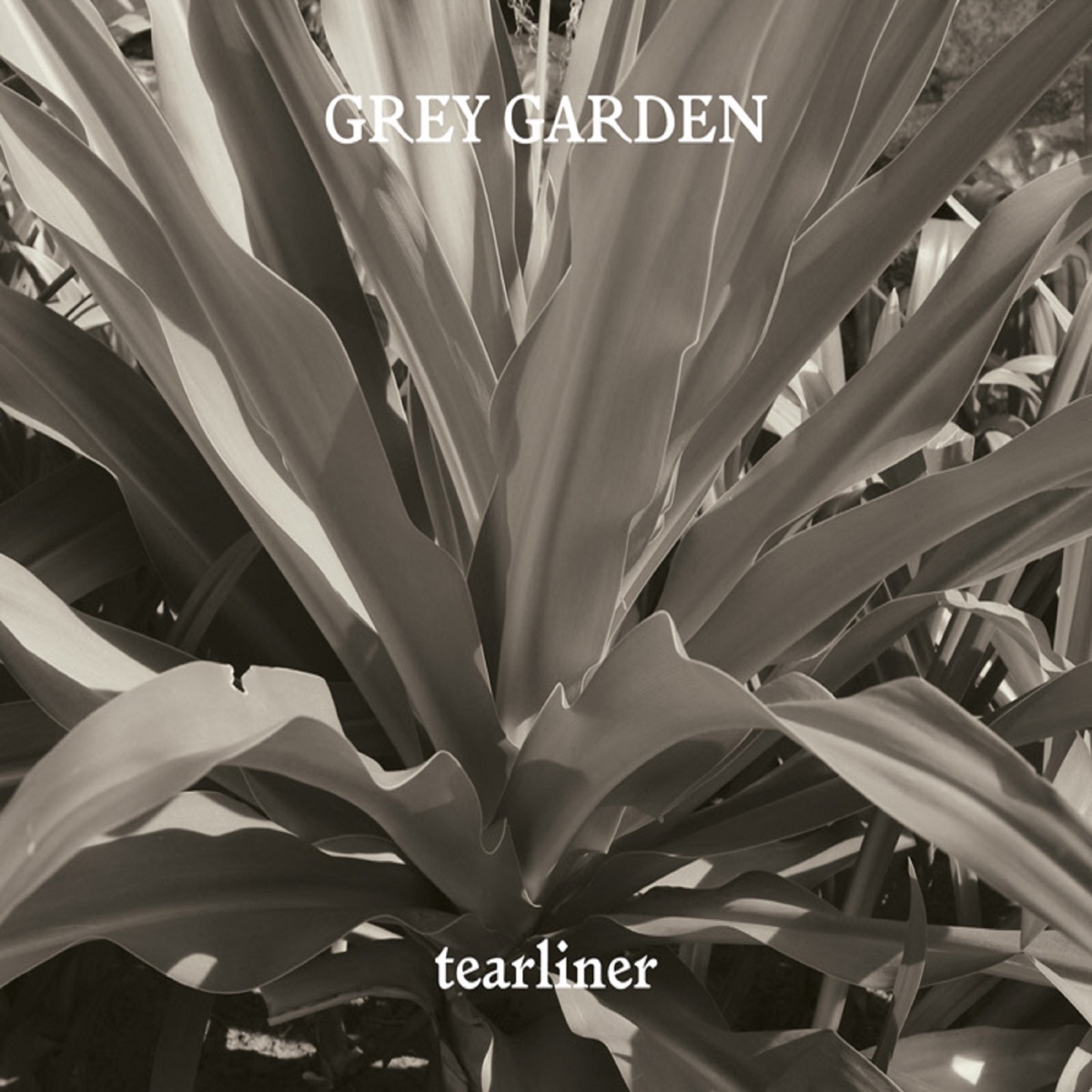 Tearliner – 잿빛 정원